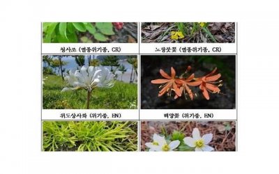 白羊座和天蝎座(白羊座和天蝎座的关系怎么样)