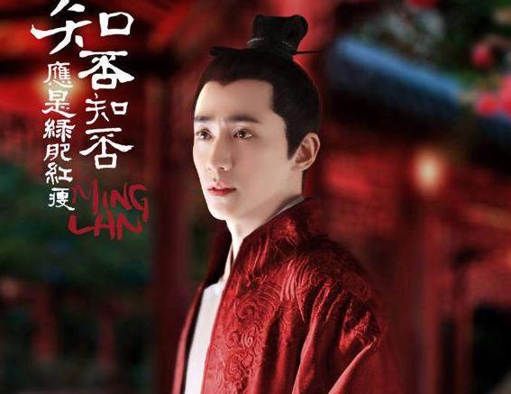 知否里的嘉成县主怎么死的(知否原著结局凄惨的嘉成县主)(6)