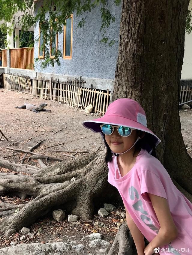 陆毅和鲍蕾的女儿（陆毅女儿贝儿长大后的照片）