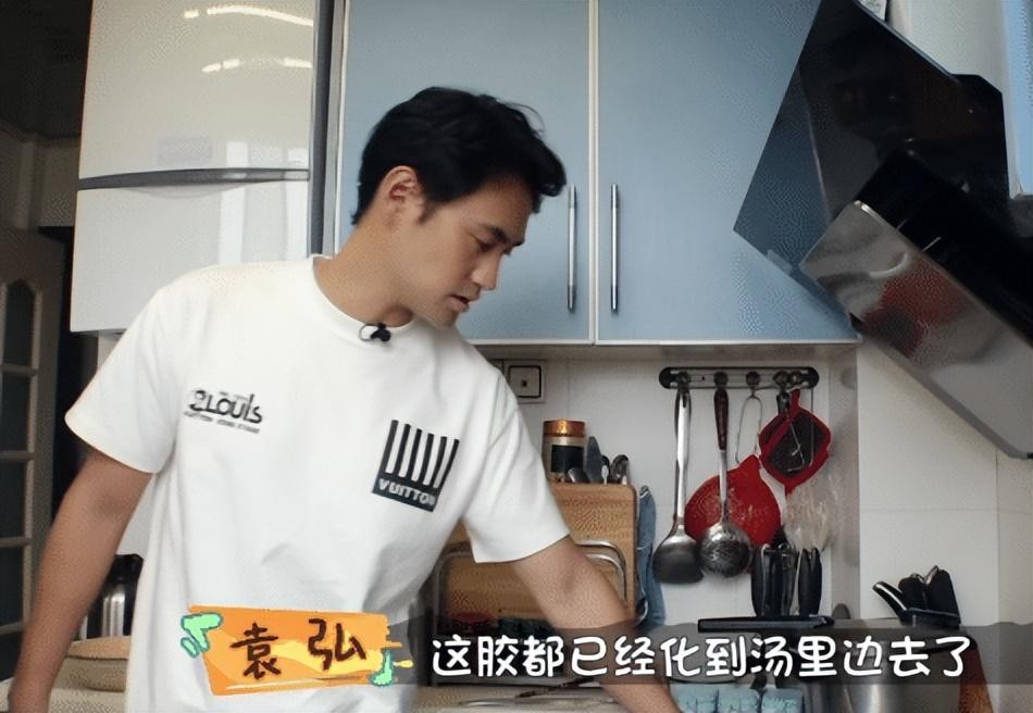 袁弘还想要女儿，张歆艺称生孩子很耗费精血！袁：那就不生不强迫