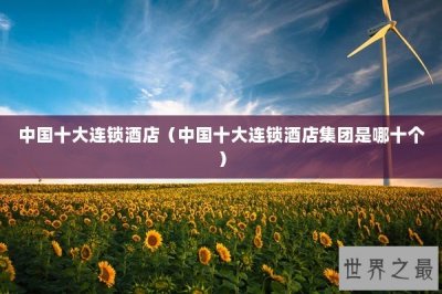 ​中国十大连锁酒店（中国十大连锁酒店集团是哪十个）