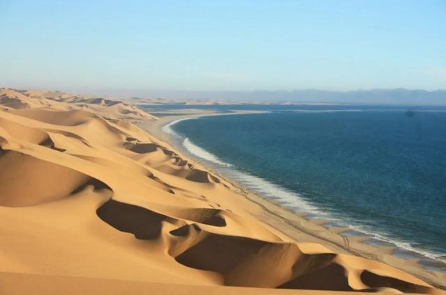 2000年史前大章鱼（沙漠里的大章鱼）(7)