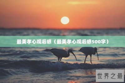 ​中国十大燃料厂排名（中国十大燃料厂排名榜）