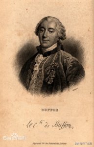 布封简介(布封|法国博物学家,用40年时间写成36卷巨册的《自然史》)