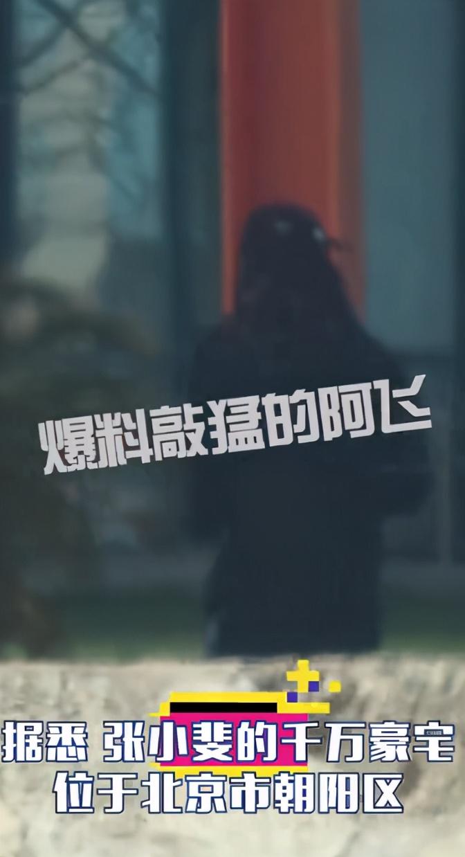 网曝35岁张小斐爆红后住千万豪宅,开2百万豪车,不带保镖太低调