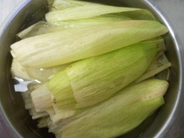 端午节粽子粽叶的种类（端午粽叶大汇总）(2)