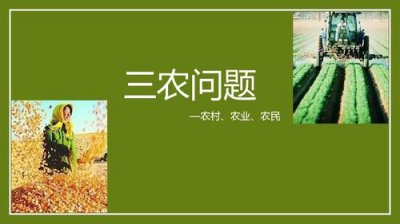 有效缓解三农问题(如何解决好三农问题)
