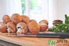 白玉菇是什么?白玉菇的功效与作用有哪些 白玉菇是什么?白玉菇的功效与作用有哪些