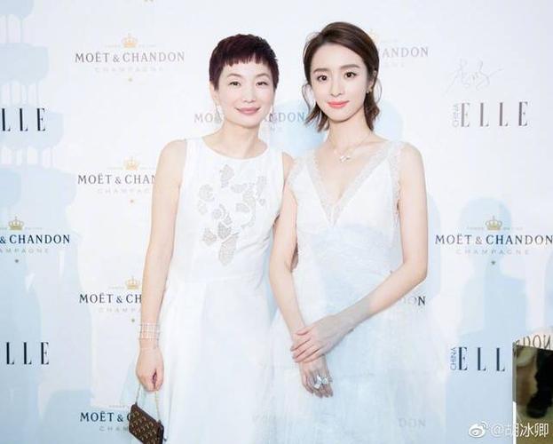 胡冰卿的老公,王子文(胡冰卿感情史) 胡冰卿的老公,王子文(胡冰卿感情史)