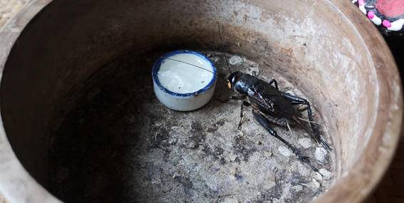 李学明简介(李学明:春归至此 甚合心意)