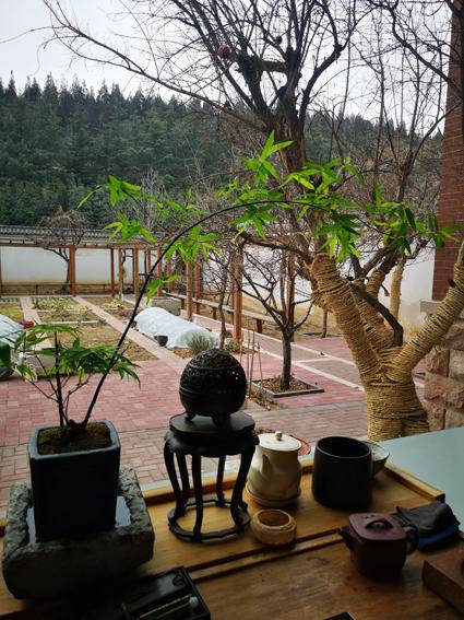 李学明简介(李学明:春归至此 甚合心意)