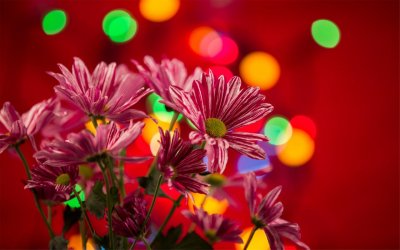 失落城堡一周目boss打法(失落城堡奸商从良打法攻略)