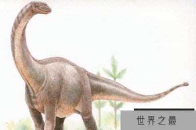 ​非凡龙：5层楼高的泰坦巨龙类恐龙，体长23米的巨型恐龙