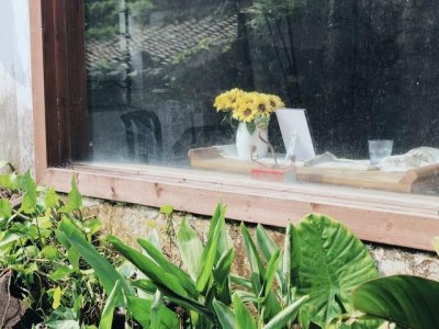 ​少年年龄范围是多少(多少岁称为少年)