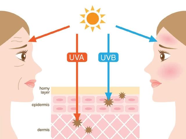 防晒衣最防晒吗夏天 普通衣服是否能替代防晒衣(2)