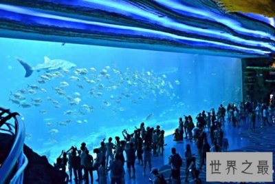 ​世界上最大的水族馆，珠海长隆海洋王国(门票350元)