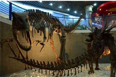 ​棘甲龙：龙科下棘甲龙属的唯一一种恐龙（身上鳞片厚实）