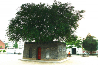 ​世界上最小的城:仅10平方厘米(境内只有一棵桑树)