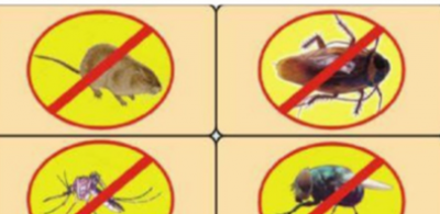 五害是哪五个,五害指的是哪五个人