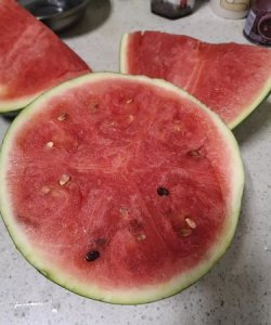 西瓜有点酸是不是坏了,西瓜坏了是什么味道的