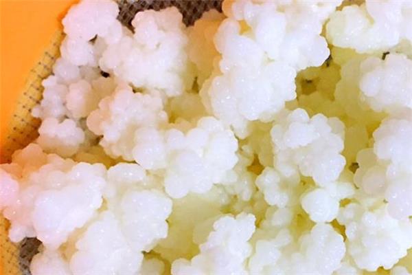 雪莲菌能降血糖吗 雪莲菌能治糖尿病吗 雪莲菌能降血糖吗 雪莲菌能治糖尿病吗