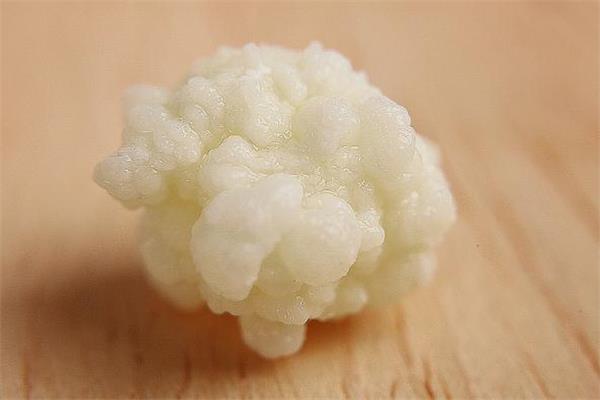 雪莲菌能降血糖吗 雪莲菌能治糖尿病吗 雪莲菌能降血糖吗 雪莲菌能治糖尿病吗