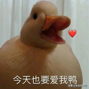 男主是反派,女主重生去爱他!紫青悠的《反派老婆不好做》超赞