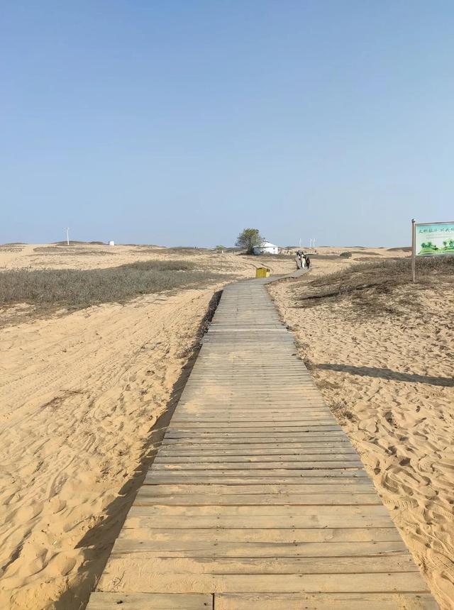 厚田沙漠一日游攻略(周末亲子游2--厚田沙漠)(5)