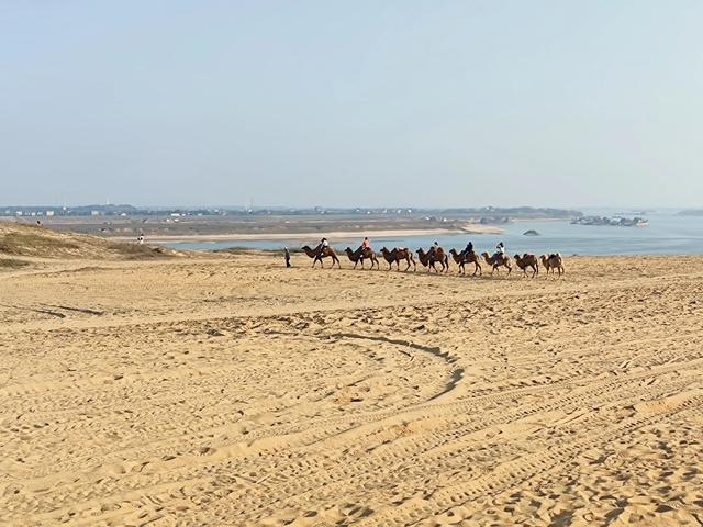 厚田沙漠一日游攻略(周末亲子游2--厚田沙漠)(7)