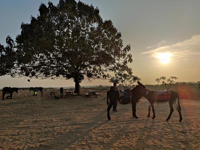 厚田沙漠一日游攻略(周末亲子游2--厚田沙漠)(9)