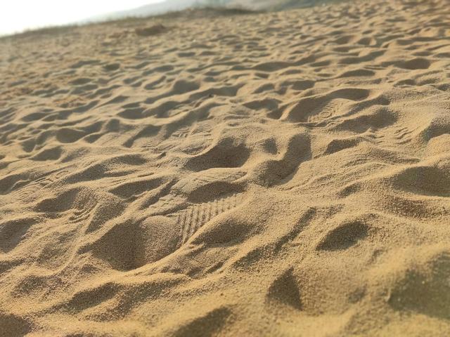 厚田沙漠一日游攻略(周末亲子游2--厚田沙漠)(8)