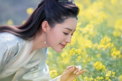 庆余年范闲几个老婆 范闲的老婆都是谁