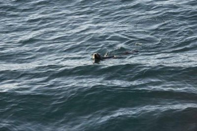 浙江台州有哪些好玩的旅游景点台州有什么地方 好玩