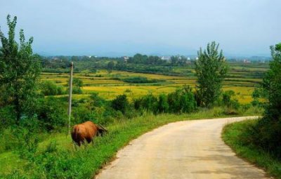​全国旅游胜地大盘点，哪个省份景点最多