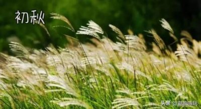 ​巴厘岛定制旅游价格，巴厘岛旅游定制