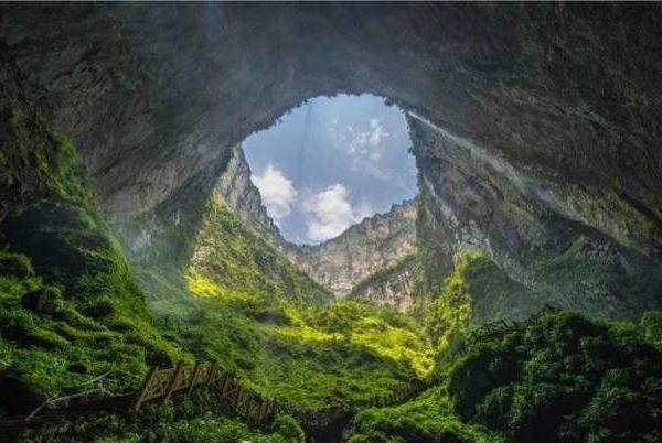 全球最大地下原始森林，面积达9.6万平方米，罕见奇观终生难遇！