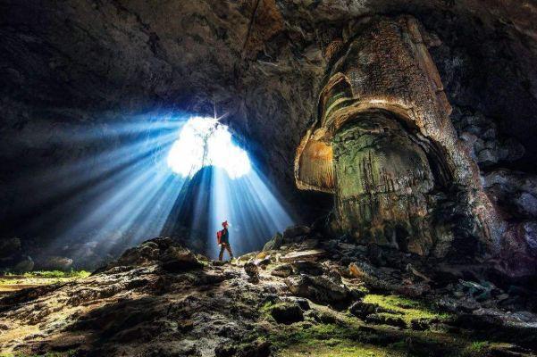 全球最大地下原始森林，面积达9.6万平方米，罕见奇观终生难遇！