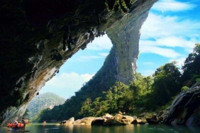 ​全球最大地下原始森林，面积达9.6万平方米，罕见奇观终生难遇！