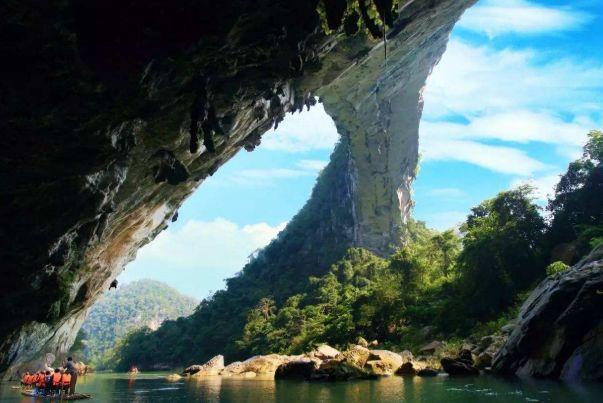 全球最大地下原始森林，面积达9.6万平方米，罕见奇观终生难遇！