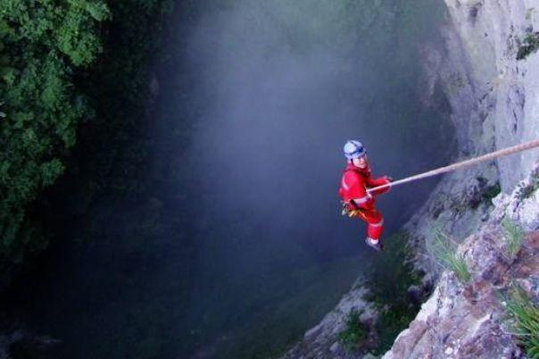 全球最大地下原始森林，面积达9.6万平方米，罕见奇观终生难遇！