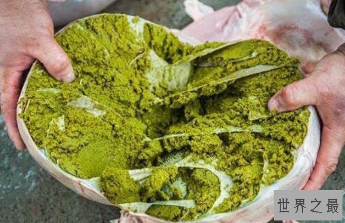 史上最难以下咽的美食，闻名四方的牛粪火锅你吃过吗