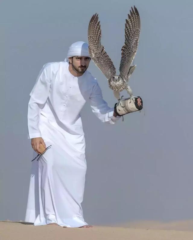 宇宙最帅多金的迪拜王子大婚！娶的是表妹，兄弟同爱一女狗血大戏