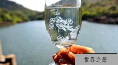 ​桃花水母是什么水母，桃花水母为什么是“活化石”