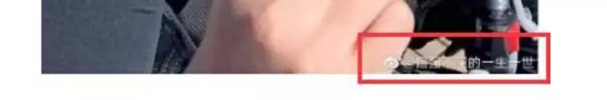 杨洋最近怎么没作品(杨洋这次也翻车了)(2)