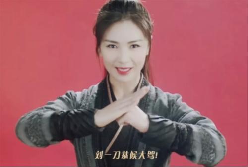 刘涛个人资料介绍(刘涛的红黑往事)(26)