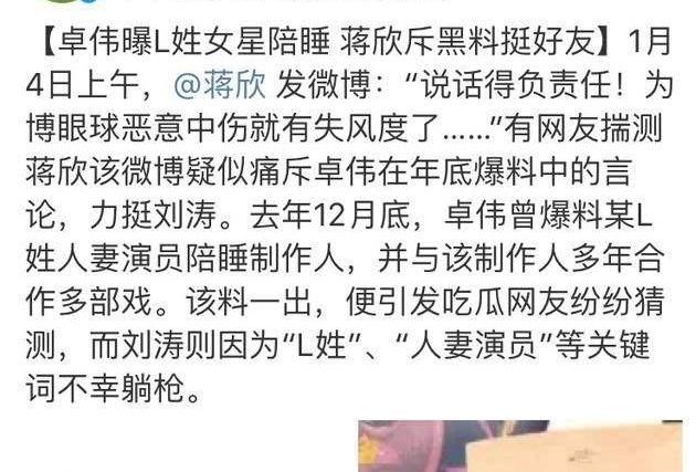 刘涛个人资料介绍(刘涛的红黑往事)(20)