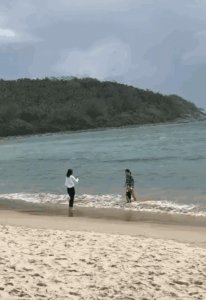 章子怡沙滩图片(章子怡穿三角泳装被偷拍)