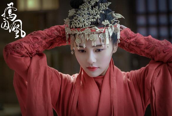 白鹿毕业于哪个大学