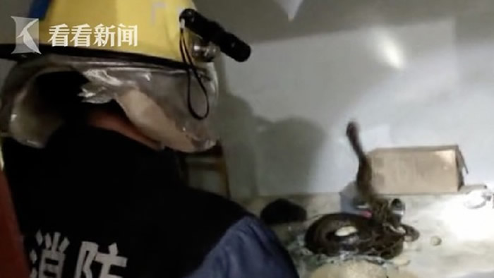 广东省韶关市翁源县男子到农舍发现3公尺长巨蟒在他床上 还散布着20颗蛇蛋