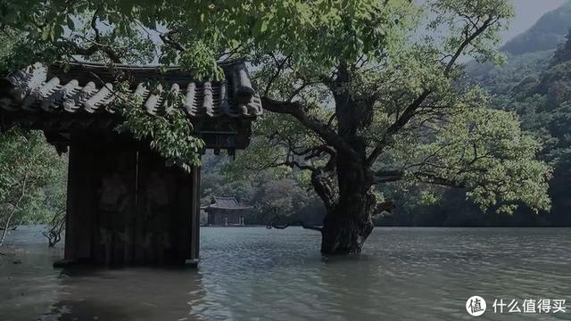 十大必看经典韩国电影(24部精选韩国高分电影)(63)